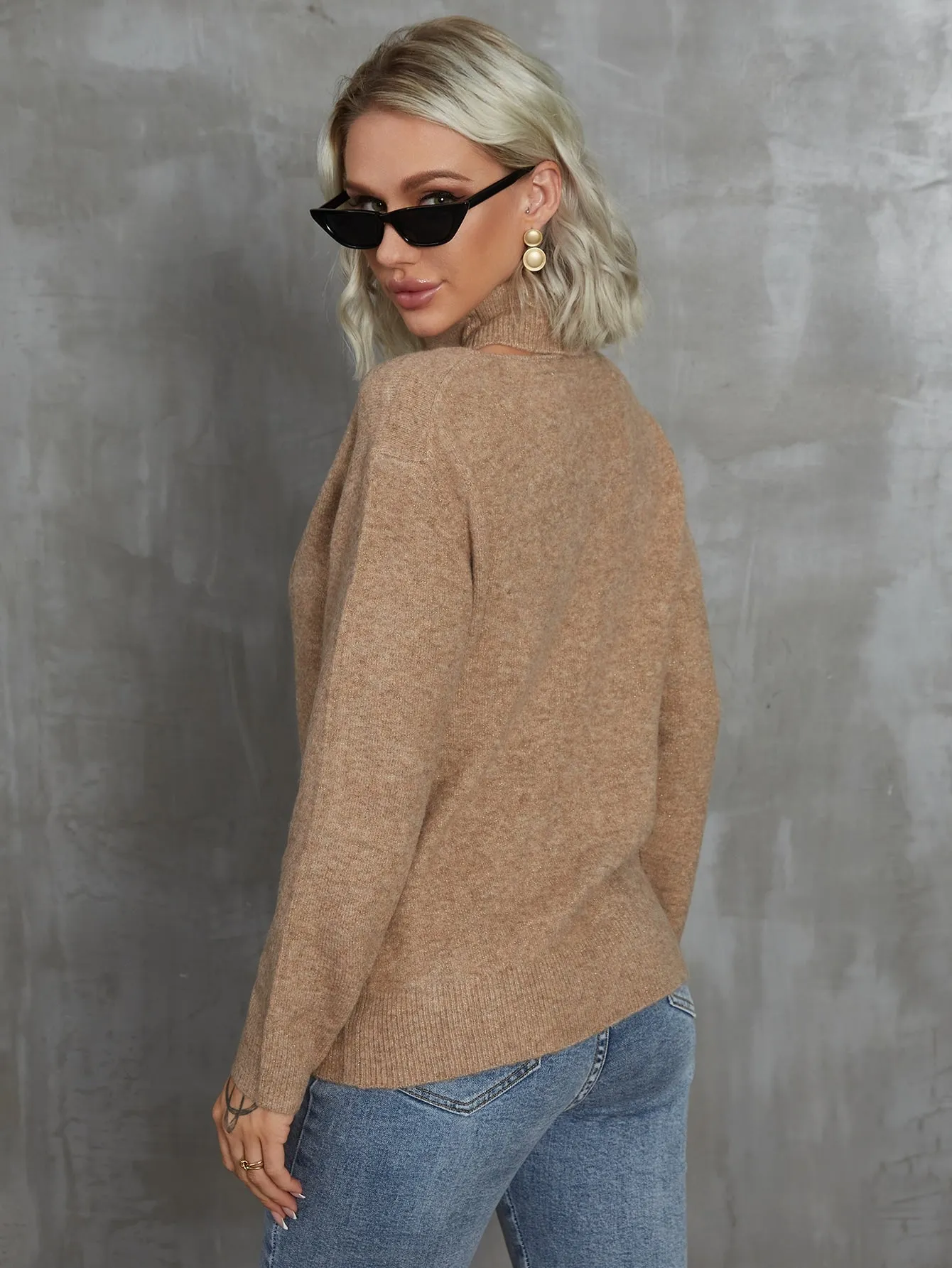 Casual Plain Cut Out Long Sleeve High Neck Regular Women Sweater